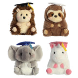 12 Pack of Graduation Rolly Pets Asst. 5in.