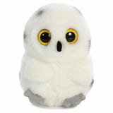 6 Pack of Hoot Owl 5"
